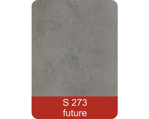 Vzorek S 273 future