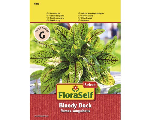 Šťovík krvavý rostlina v balení FloraSelf