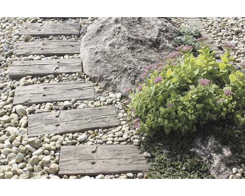 Zahradní scéna s dřevěnou cestou, kameny a výsadbou
