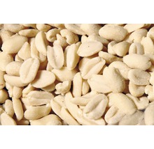 Krmivo pro venkovní ptactvo arašídy blanšírované 1 kg