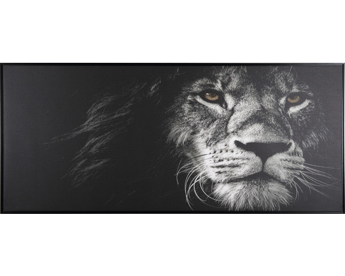 Obraz v rámu Shadow Animal 59 x 134 cm