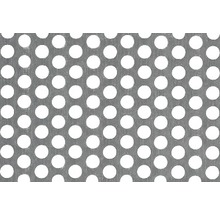 Alu děrovaný plech 200x1000x0,8 mm
