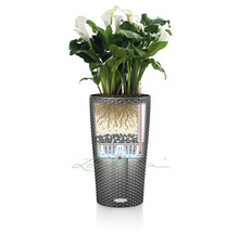 Kala v květináči se zavlažovacím systémem a ukazatelem hladiny