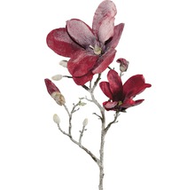Dekorativní větev magnólie s květy a poupaty