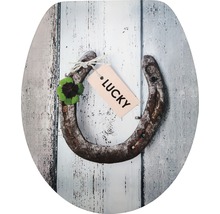 Toaletní sedátko s motivem podkovy, čtyřlístku a štěstí