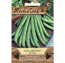 Balení semen keříčkových fazolí