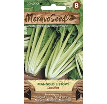 Mangold Lucullus balíček semen