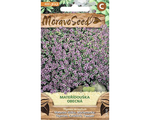 Mateřídouška obecná MoravoSeed
