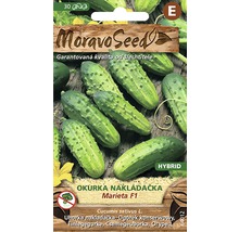 Balení okurkových semen pro nakládačky