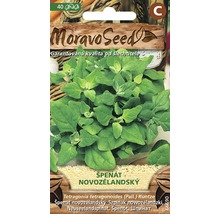 Balení semen novozélandského špenátu s logem Moravo Seed