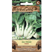 Balíček semen čínského zelí