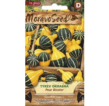 Balení okrasné tykve Bicolor Moravo Seed