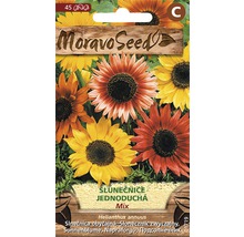 Balíček semen slunečnice Moravo Seed mix