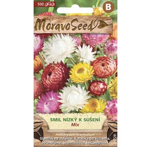 Směs semen květin pro sušené květiny od Moravo Seed