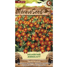 Balení semen Tagetes tenuifolia s ilustrací rostliny