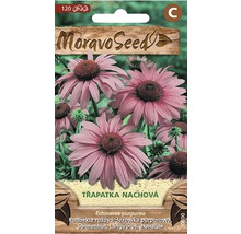 Balení semen třapatky nachové Moravo Seed