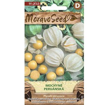 Balení semen mochyně peruánské