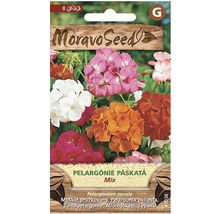 Balení semen smíšených pelargonií