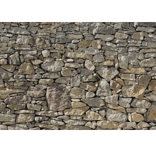 Fototapeta papírová 8-727 VOL 15 Stone Wall 8-dílná 368x254 cm-thumb-0
