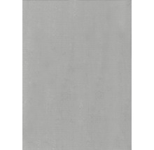 Alu plech 600x1000x0,8 mm