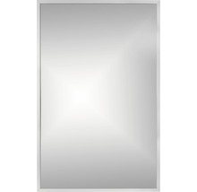 Zrcadlo do koupelny v rámu 65 x 100 cm stříbrné-thumb-0