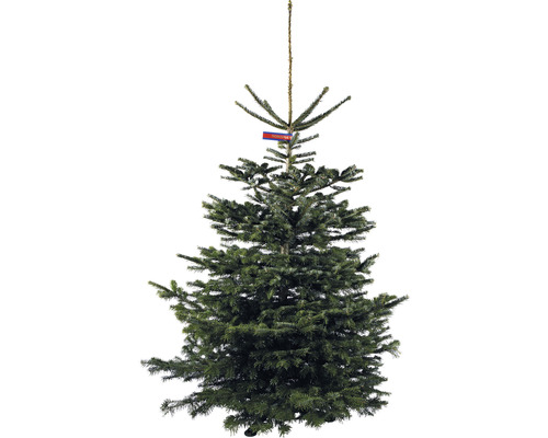 Vánoční stromky a vánoční dekorace