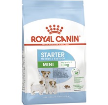 Royal Canin Starter Mini suché krmivo pro matku a štěně do 10 kilogramů