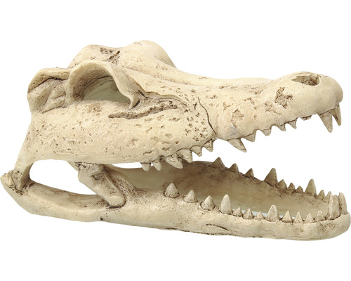 Terarijní dekorace Repti Planet Krokodýl lebka 13,8x6,8x6,5 cm