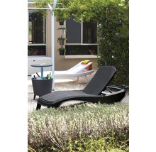 Scéna na zahradě s lehátkem, chladičem nápojů a výsadbou