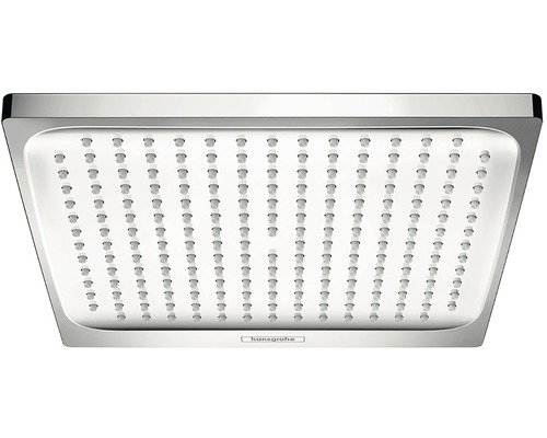 Sprchová hlavice Hansgrohe Raindance