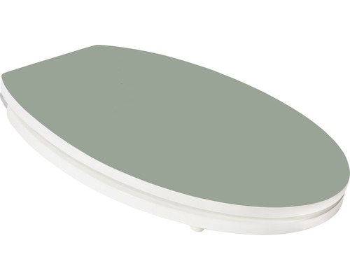 Toaletní sedátko z plastu