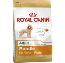Royal Canin Adult krmivo pro psy pro pudly
