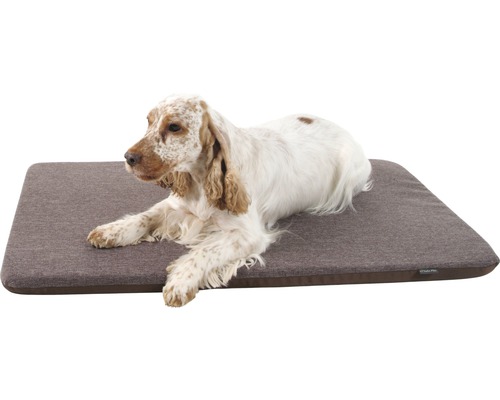 Pes leží na pelíšku