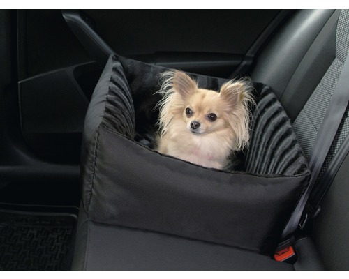 Pes v autosedačce pro bezpečnou přepravu