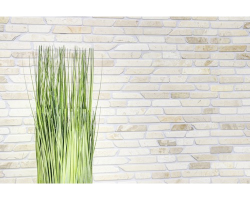 Dekorativní zelené stonky před kamennou zdí