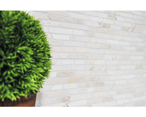 Dekorace stěn s kamenným dekorem a rostlinou