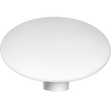 Oválný nábytkový knoflík