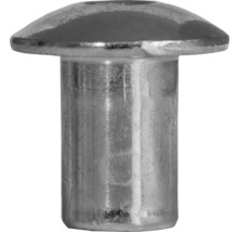 Kovový nýt s kulatou hlavou