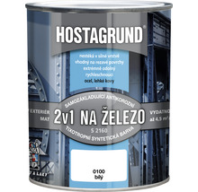 Barva na kov Hostagrund 2v1 S2160 základní i vrchní 0100 bílá 0,6 l
