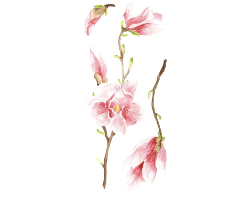 Akvarelová ilustrace květů a větví magnólie