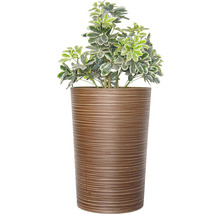 Květináč vysoký Lafiora umělý kámen rýhovaný Ø 49,3 cm výška 72,5 cm hnědý