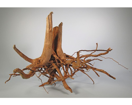 Terarijní a akvarijní dekorace Finger Root large kořen 40 - 60 cm