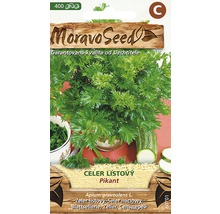 Balení semen celeru listového