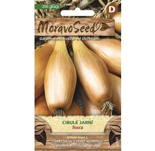 Balení semen jarní cibule Tosca