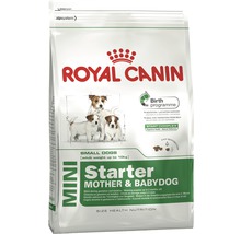 Royal Canin Mini Starter Mother and Babydog suché krmivo pro malé psy do 10 kg