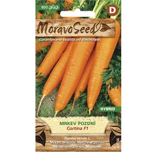 Balíček semen pozdní mrkve MoravoSeed Cortina F1