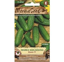 Semena okurky odrůdy Karen F1