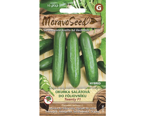 Okurka salátová do fóliovníku TWENTY F1 MoravoSeed