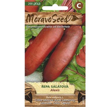 Sada semen červené řepy