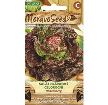 Balení semen hlávkového salátu Rosemarry